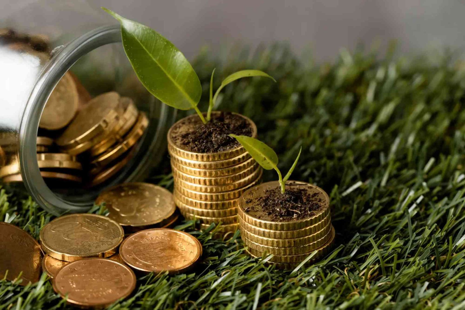 Cara Pemerintah Mengembangkan Ekonomi Hijau