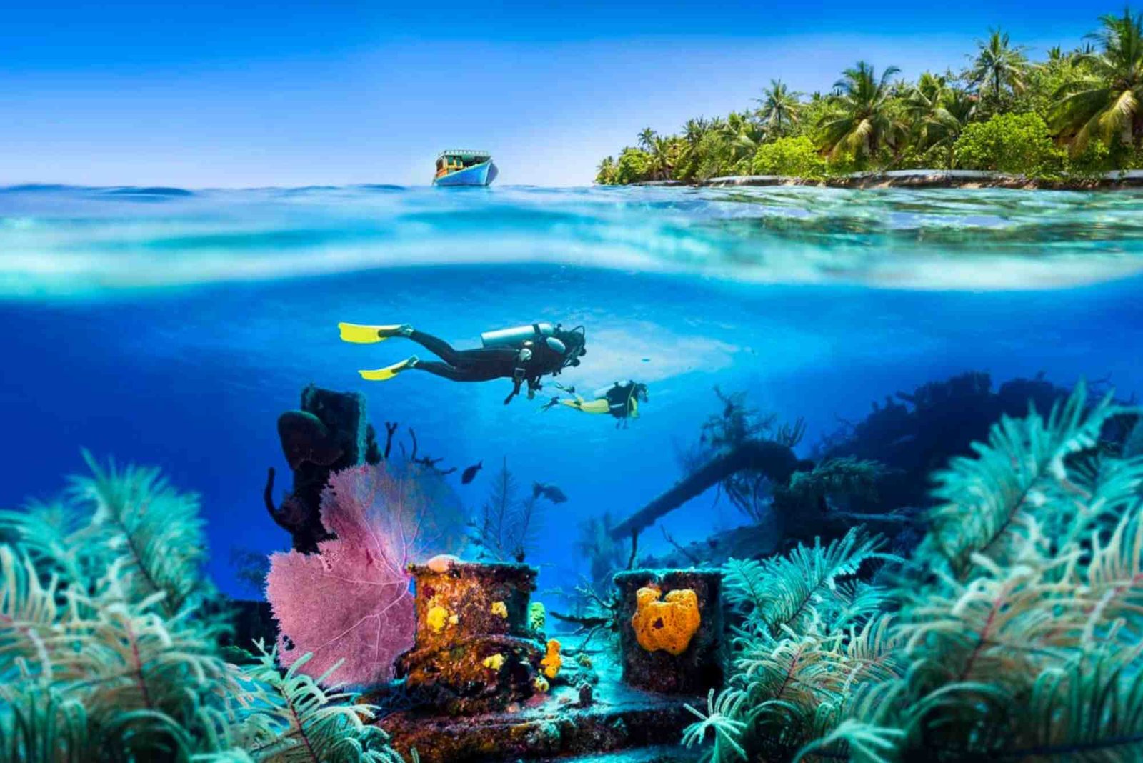 Rekomendasi Tempat Diving Terpopuler